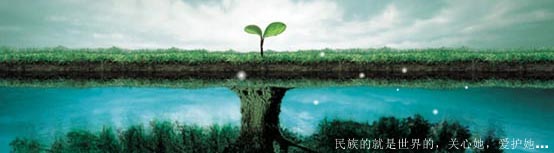 蒙药精品