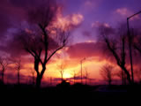 ɹҩƷ