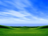 ɹҩƷ