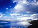 ɹҩƷ